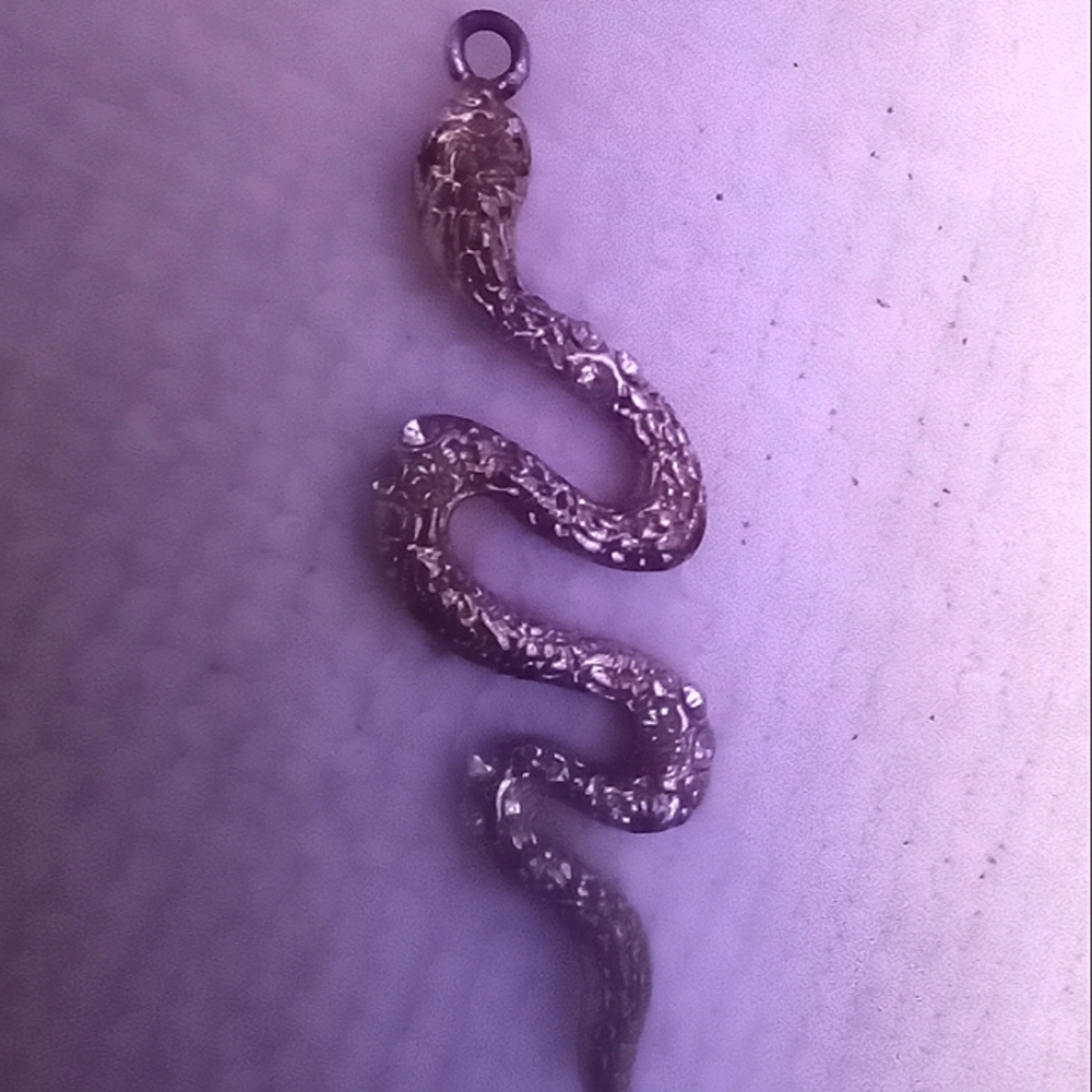 Gold toned Snake charm